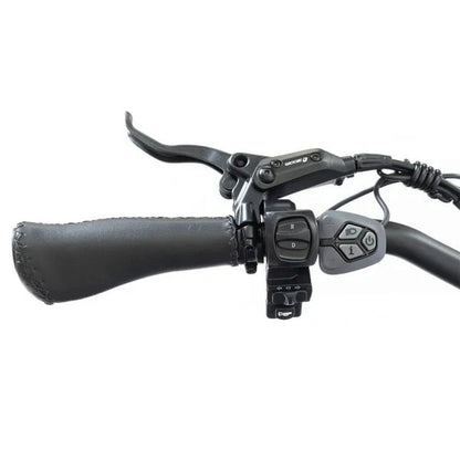 20 48V/14AH 750W Foldable Fat Tire Electric Trike, 330LBS