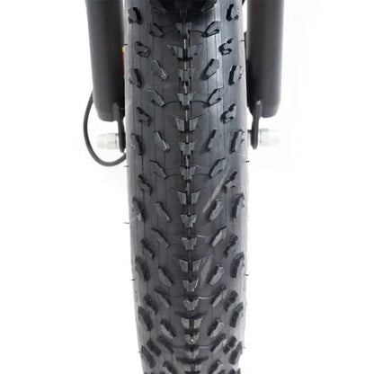 20 48V/14AH 750W Foldable Fat Tire Electric Trike, 330LBS