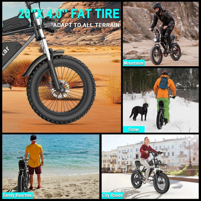Ridstar electric bicycle for adults, 1200 W, 48 km/h mountain bike, 48 V 15.6 Ah battery, 20" fat bike tires, 7-speed full suspension
