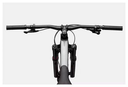 Cannondale Habit 3 29'' Sram NX Eagle 12V Grey All-Suspension Mountain Bike